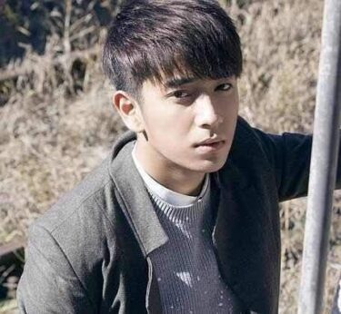 チェンルオシュアン(陳若軒)の経歴やプロフィールは？結婚も調査！