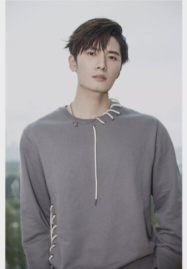 リウ・ハイクアン(劉海寬)の経歴やプロフィールは！？彼女や結婚も！