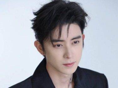 アオ・ルイポン(敖瑞鵬)の経歴やプロフィールは？おすすめドラマ作品も！